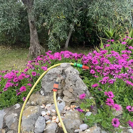 Pm 25 Via Trepene Castellonorato